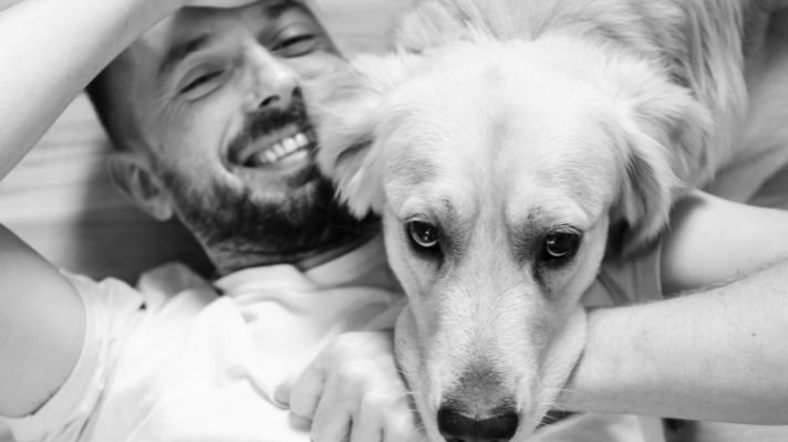 Golden Retriever with happy owner