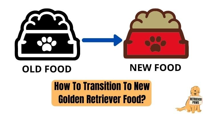 How to switch to new golden retriever food
