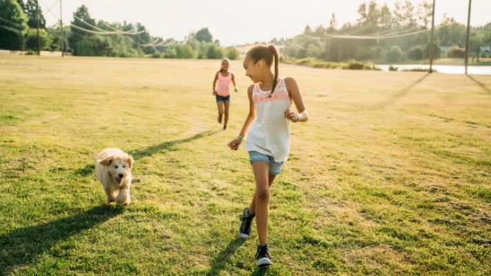 Labradoodle dog running and exercising